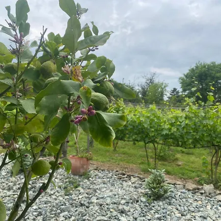 Apartamento Terra Toscana *